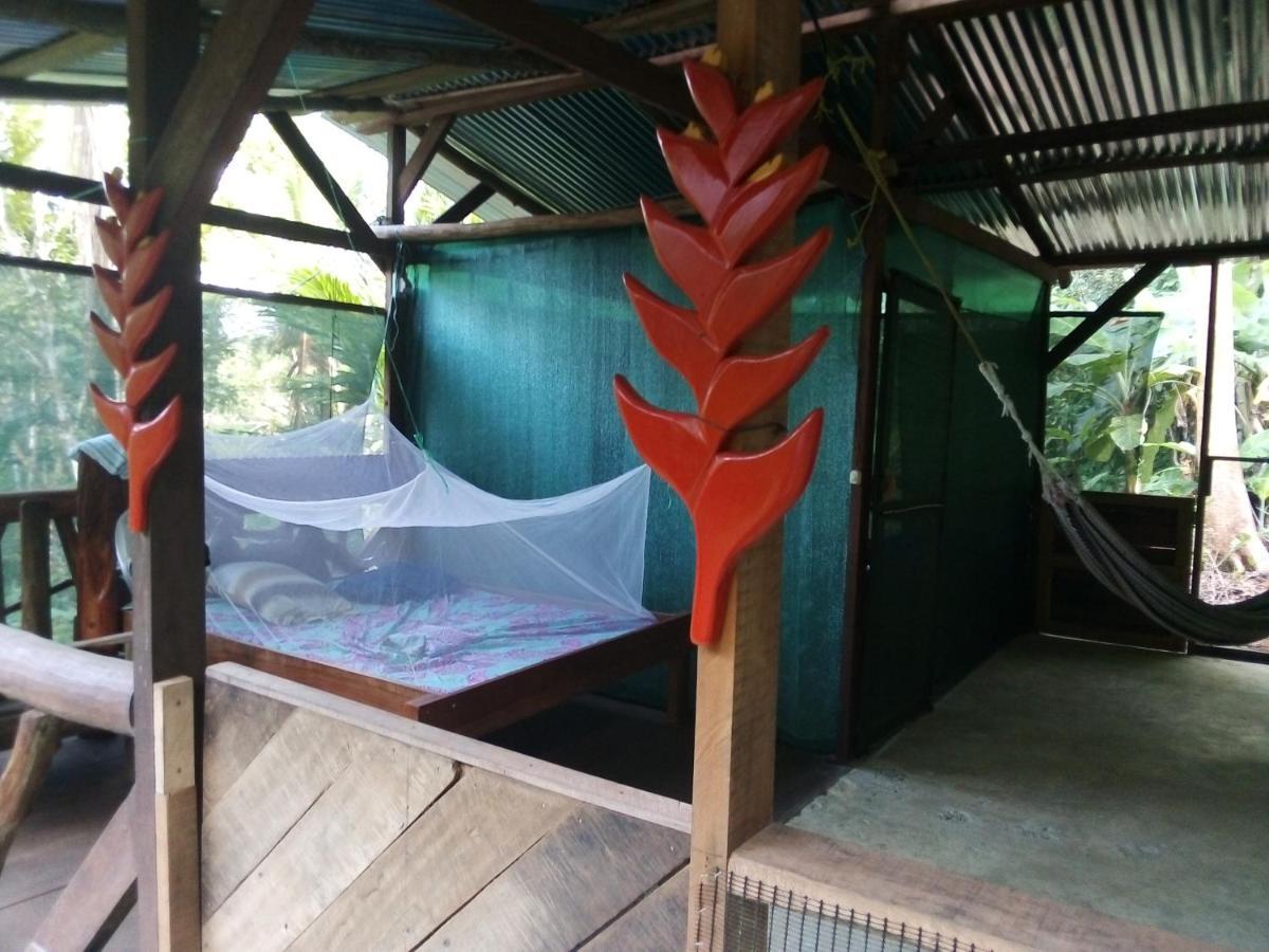 Corcovado Guide House Hotel Barrigones Kültér fotó