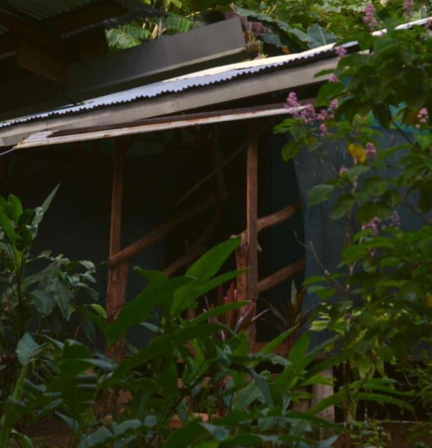 Corcovado Guide House Hotel Barrigones Kültér fotó